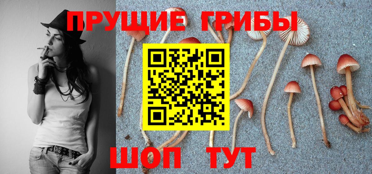 Псилоцибиновые грибы MAGIC MUSHROOMS  Псилоцибиновые грибы мухоморы  Вход с VPN  Бердск 